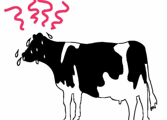 Heat-stressed cow graphic
