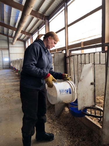 Sheri Levash feeds calves