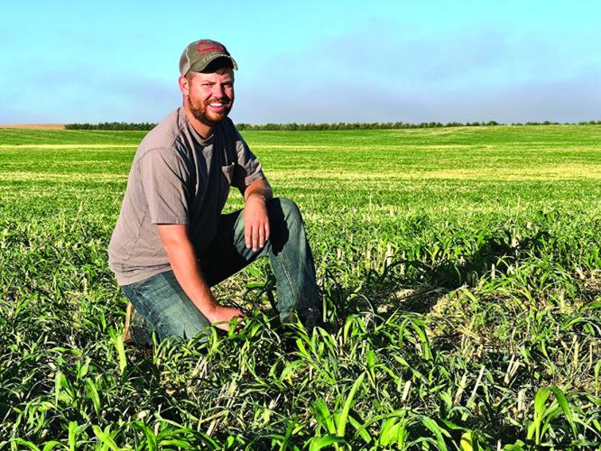 Shrimp farming (14) - worked.tif