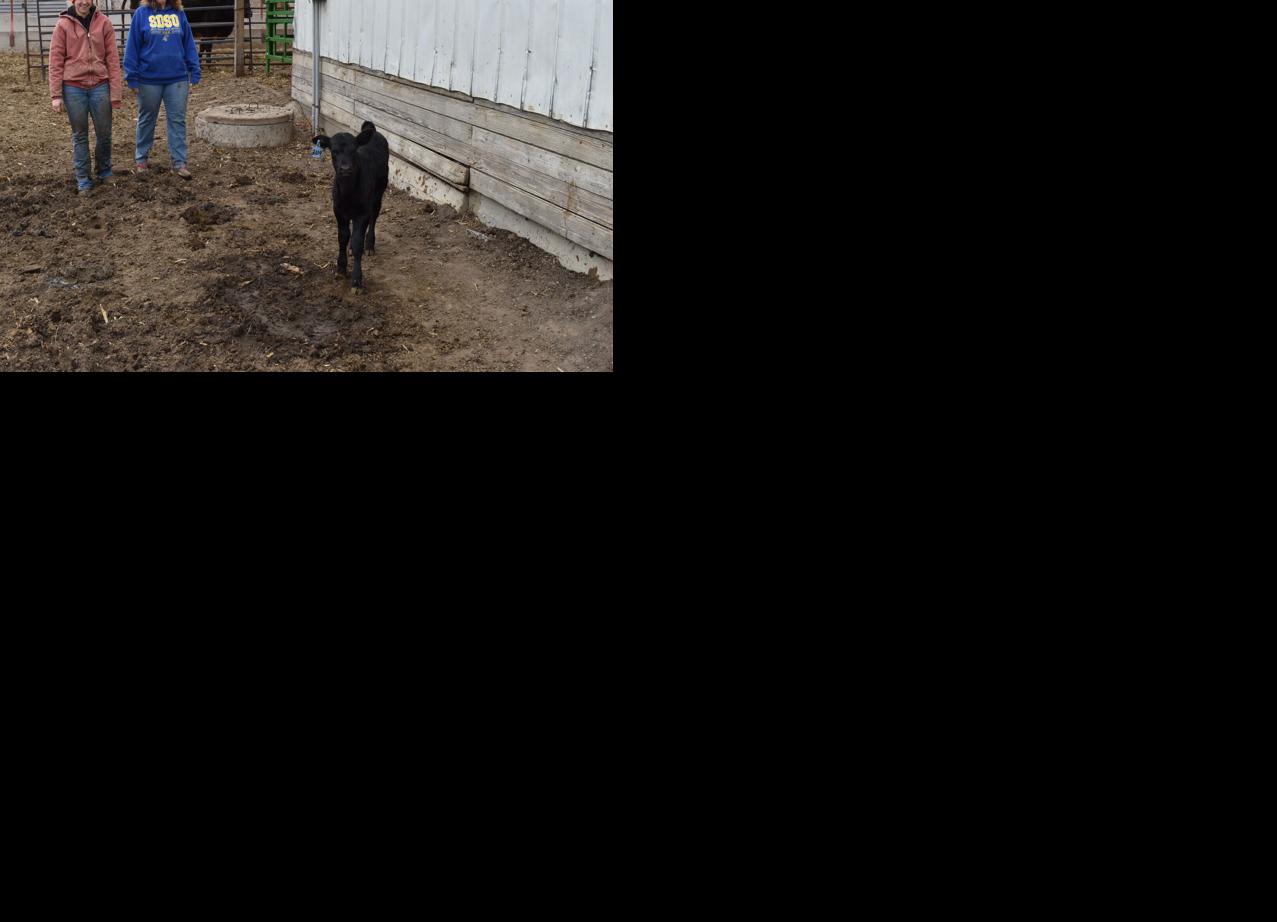 Crop Watcher Severtson (26).JPG