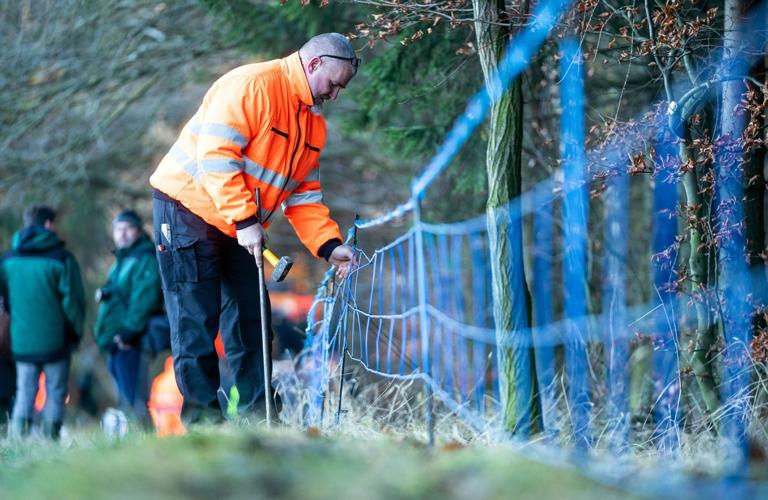 An electrified fence to deter wild boars