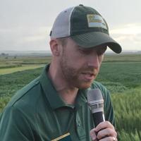 Scab risk likely to be present until mid-July this year