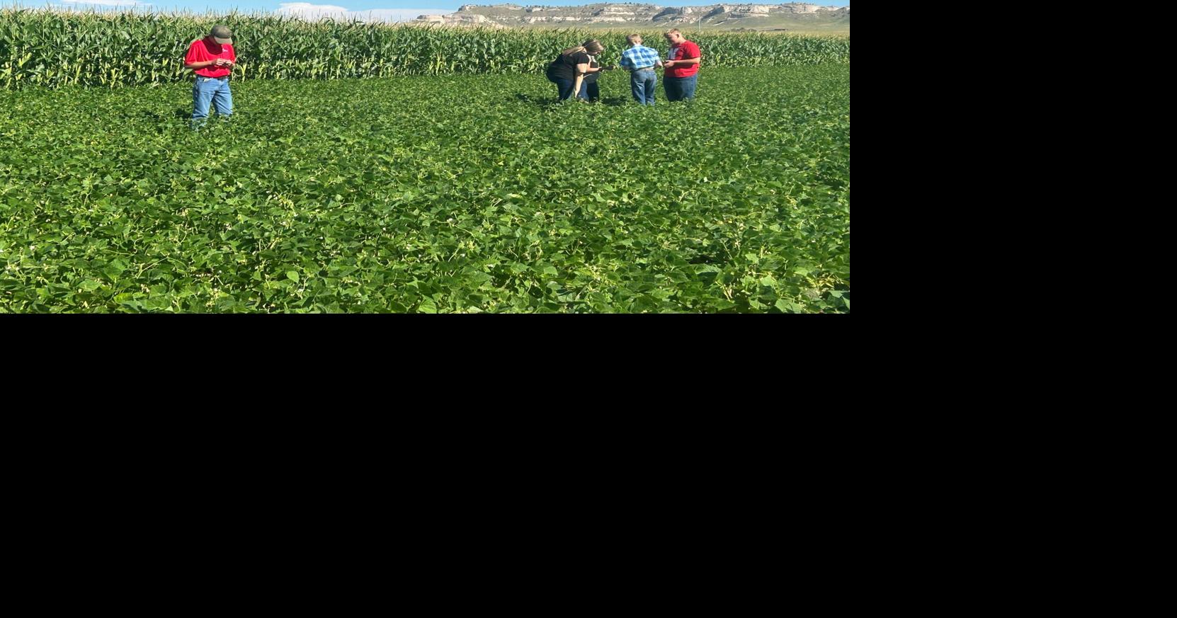 Kearney County 4-H 2.jpg