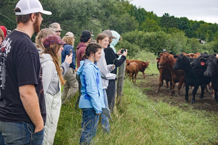 Students with beef cattle