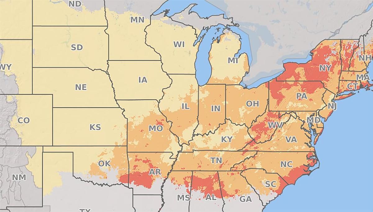 Disease map