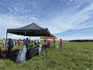 Rotations, cover crops benefit pastures