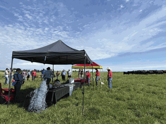 pasture walk
