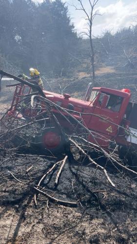 Deeply Rooted fire 2.JPG