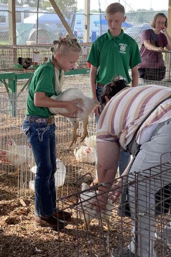 Butler County 4-H 3.jpg