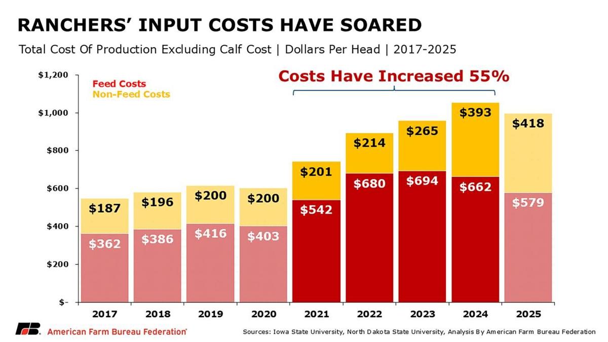 Input costs