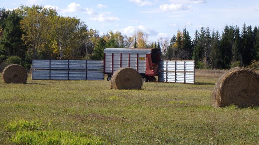 Haybales