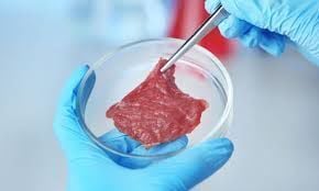 Lab-grown meat