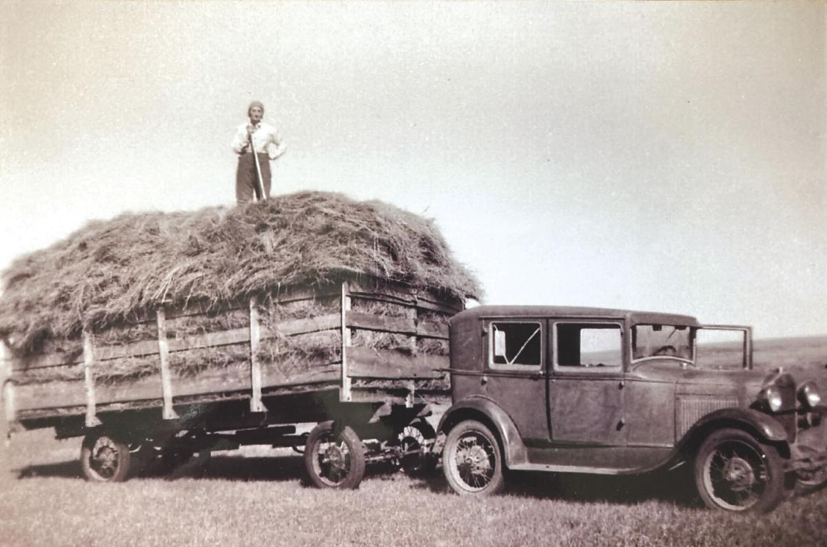Hay load 1940s