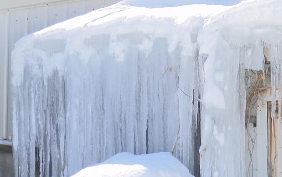 North Dakota Livestock Farmers And Ranchers Brace For Another
