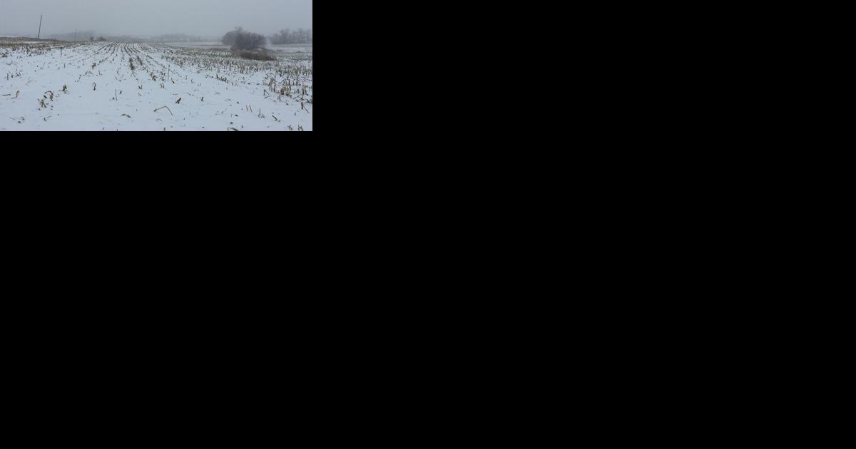Cold Crop: Winter weather can impact 2024 crop management - Vimarsana News
