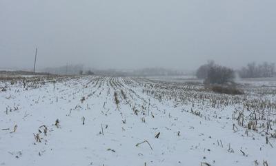 Snowy field