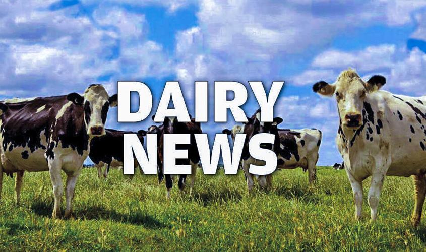 Dairy News logo graphic version 2