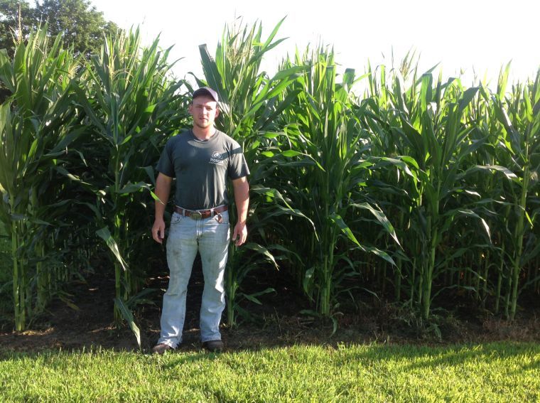 Nick Feltis, July 19, 2013