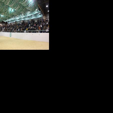 Axtman excited for 100th Little International at NDSU