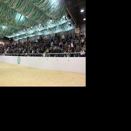 Axtman excited for 100th Little International at NDSU