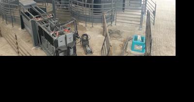 Finishing cattle with hoop barns has advantages - Vimarsana News