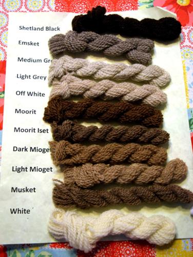 Yarns produced from Shetland sheep