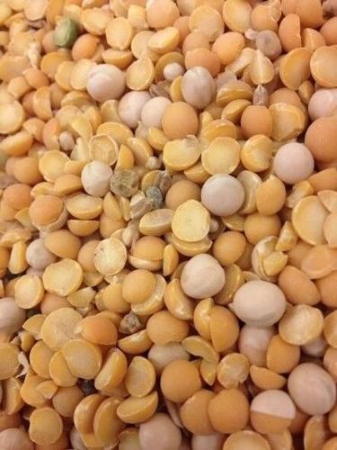 Peas for cattle 6.jpg