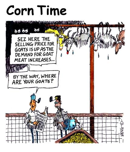 Corn Time by Bob Lang
