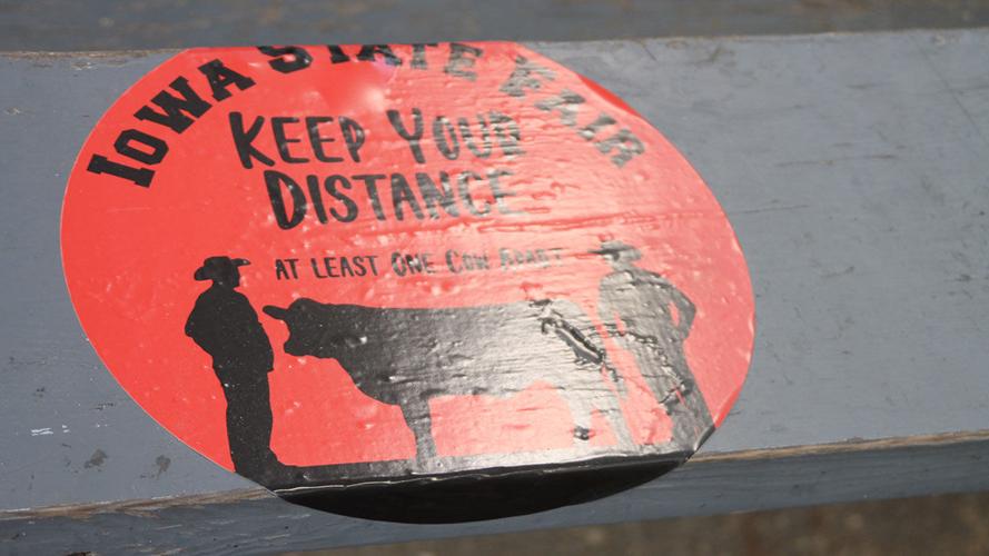 Social distancing of at least one cow-length