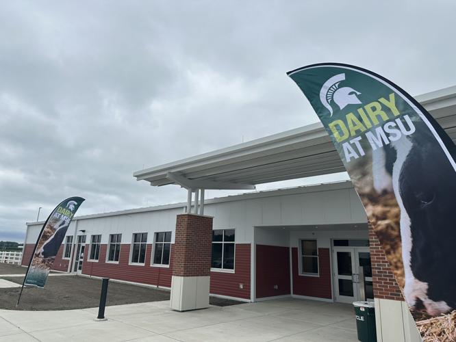 MSU dairy cattle teaching center