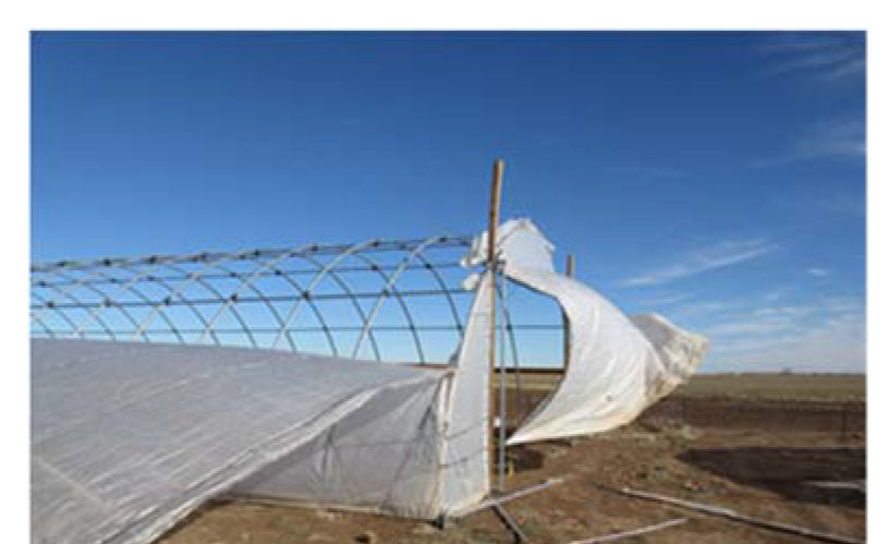 Wind damage to high tunnel