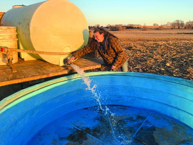 Down on the Farm 1.jpeg