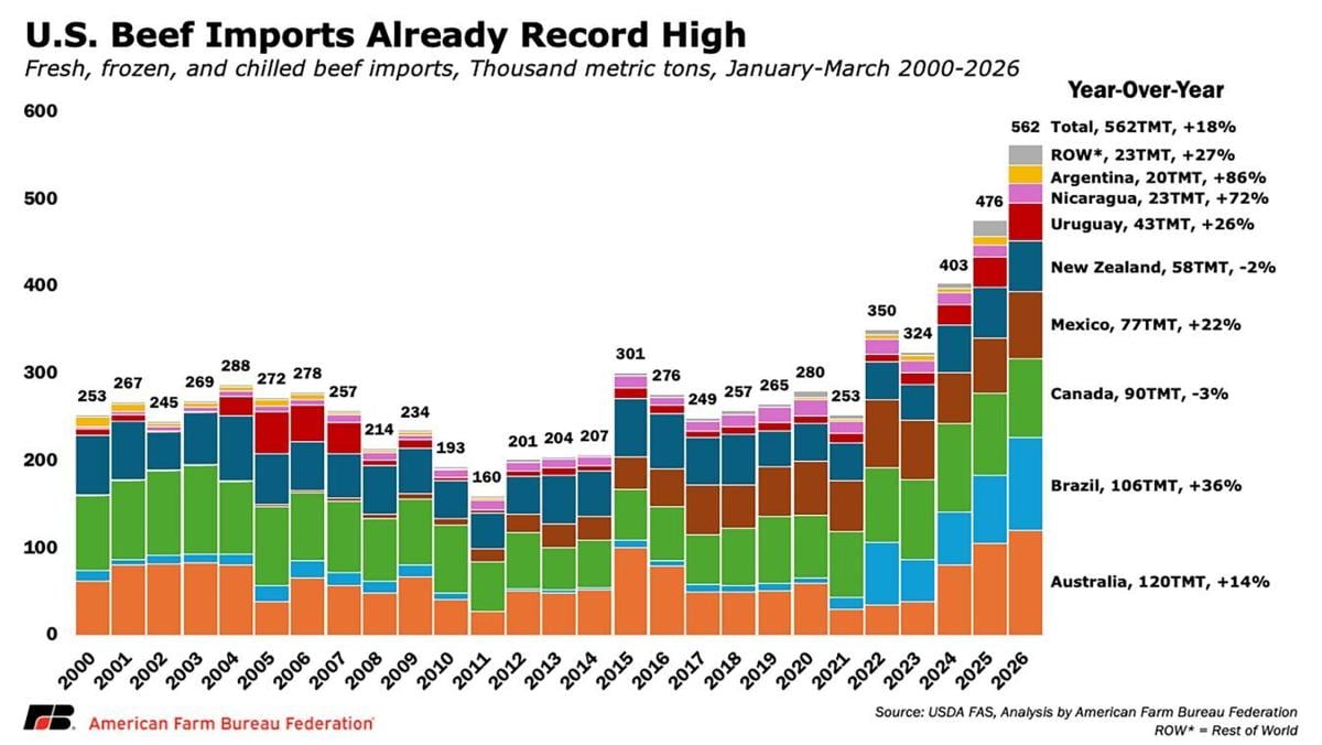 Beef imports