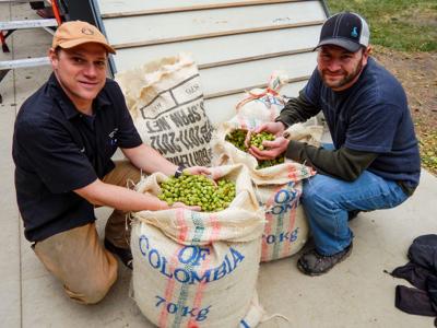 Brewed Locally: Craft brewers add value to Montana barley ...