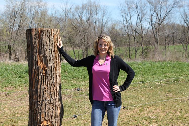 Annie's Project Kate Lambert