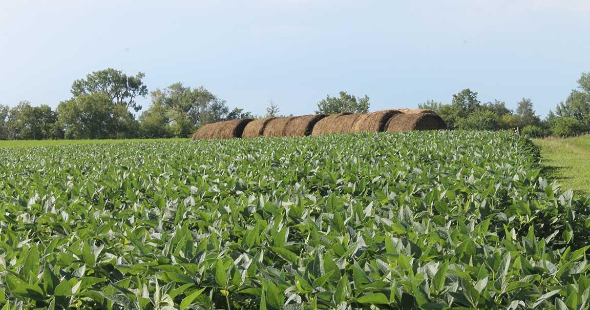 Iowa Organic Conference marks 25 years