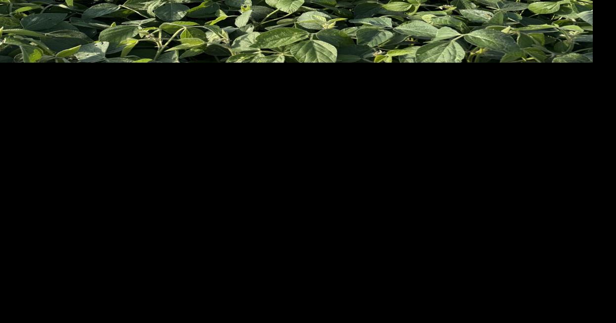 CW Holzwarth (5).jpg