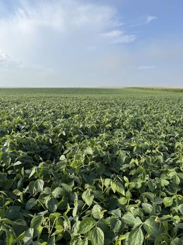 CW Holzwarth (5).jpg