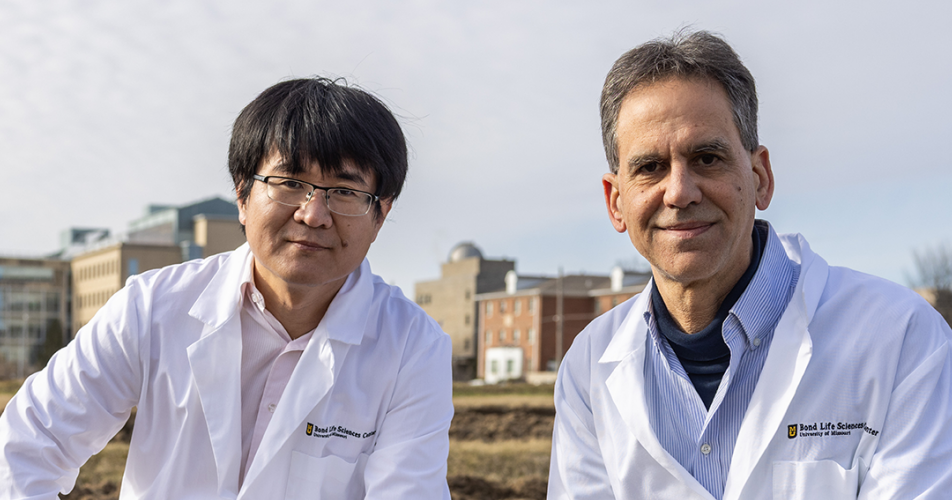 Researchers uncover how plants regulate root growth