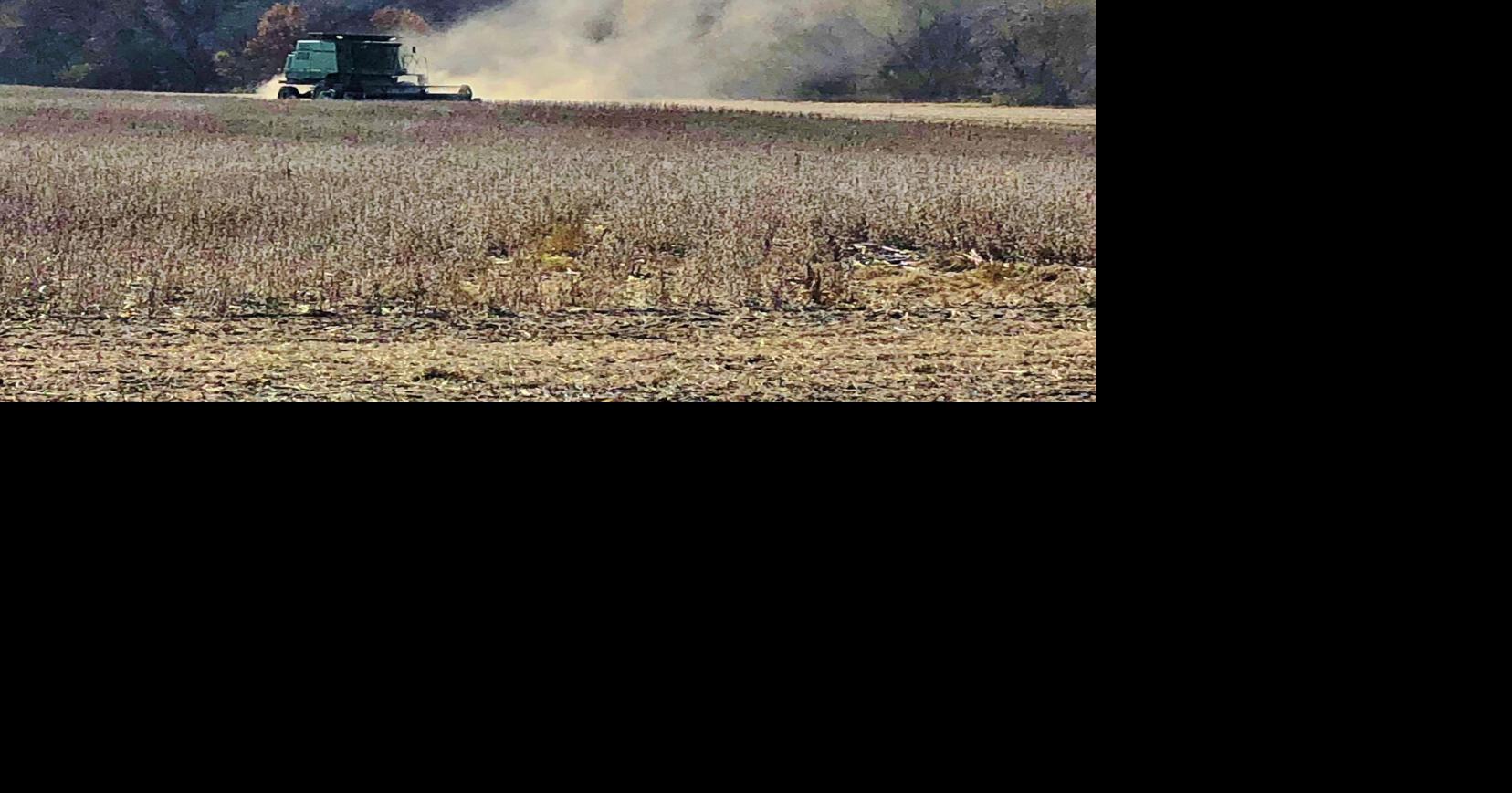 Left in the dust