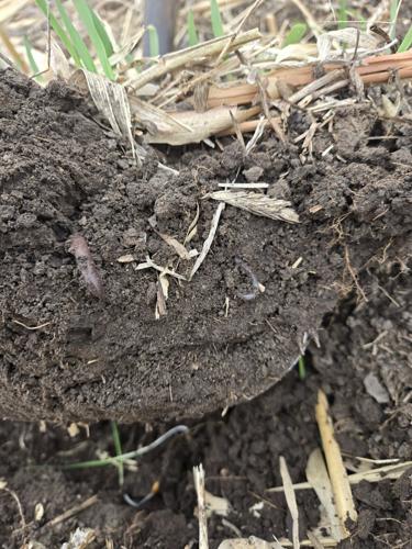 Coalition coffeepot 1.jpg