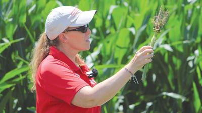 Erin Hodgson shows root damage caused by corn rootworm