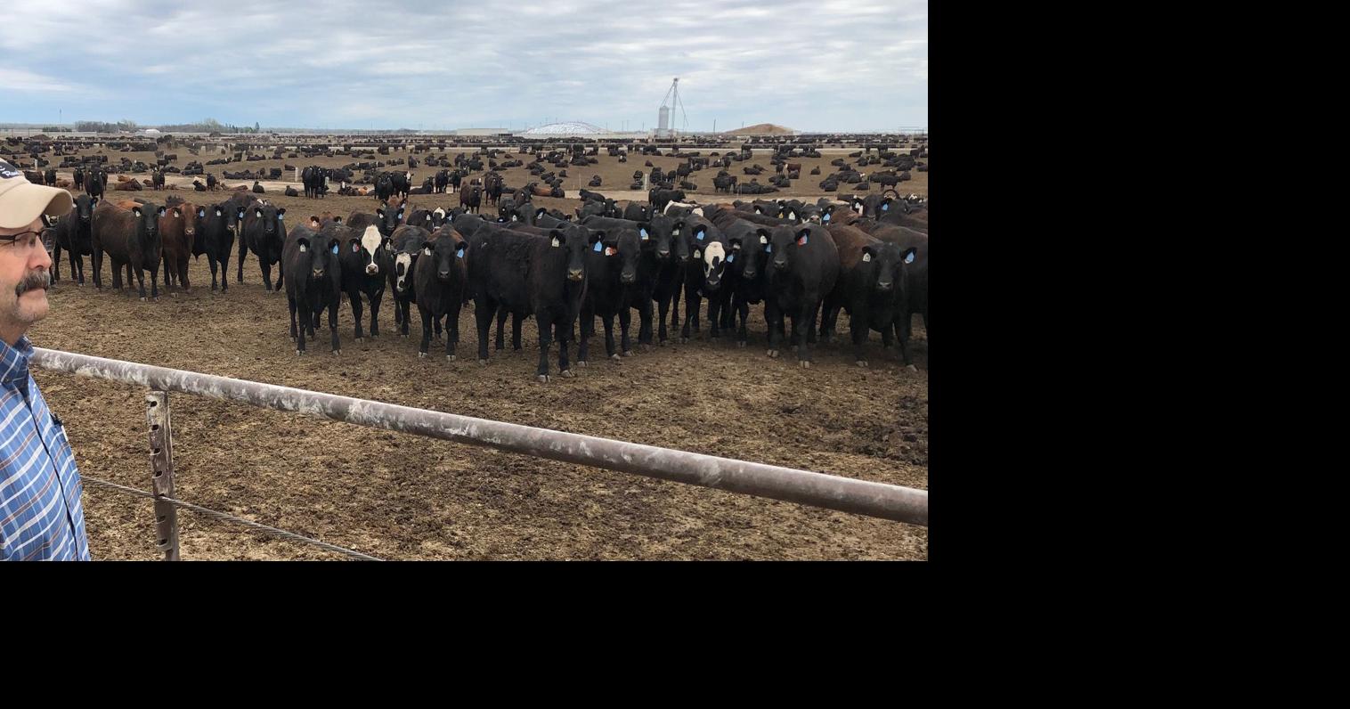 International livestock identification conference heads to Nebraska Panhandle