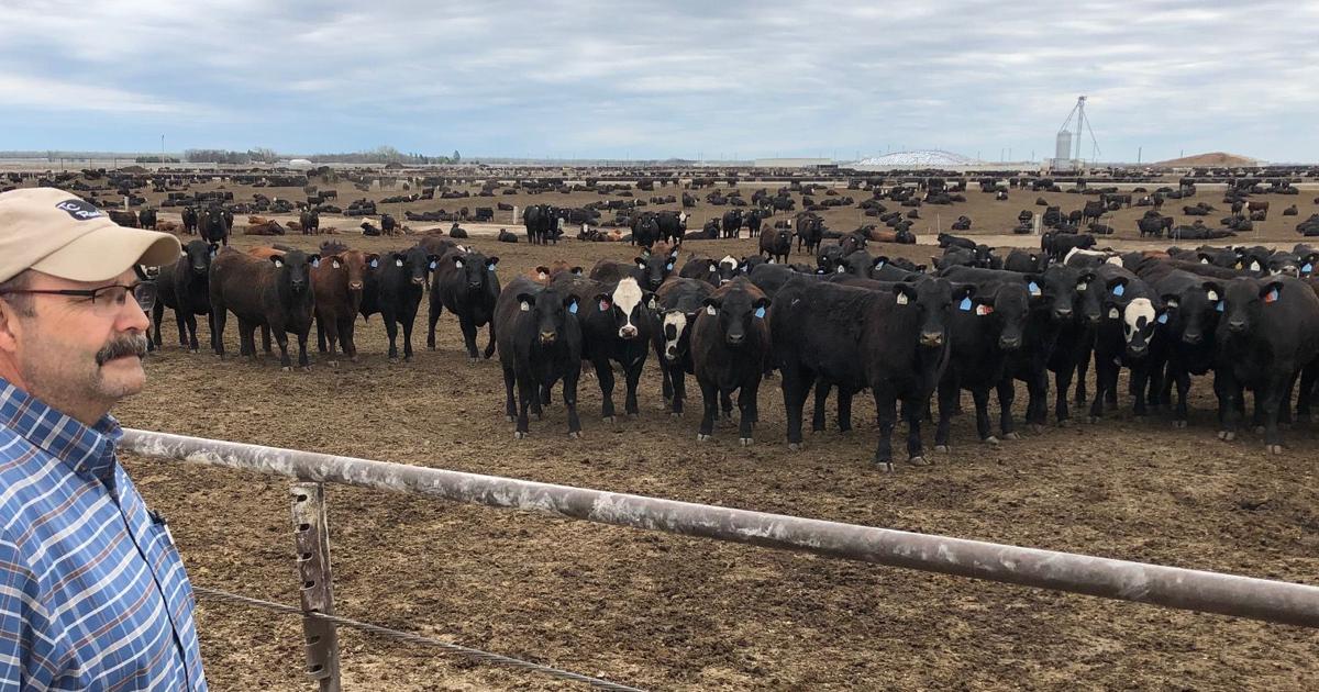 International livestock identification conference heads to Nebraska Panhandle