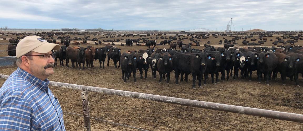 Both sides call for cooperation in proposed animal ID policy