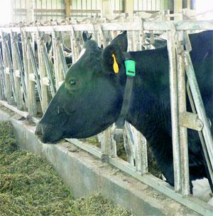 AI24 Heat Detection System Provides Profitable Results 