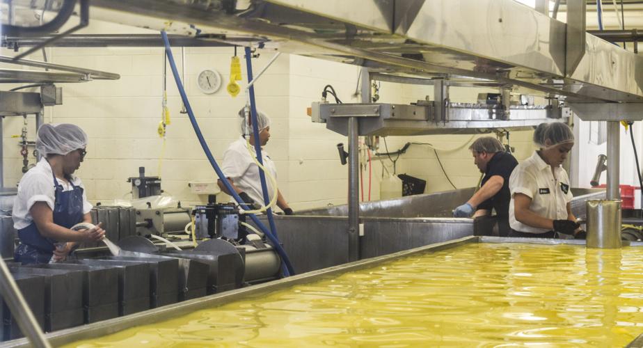 Cheese production employees at Cedar Grove Cheese