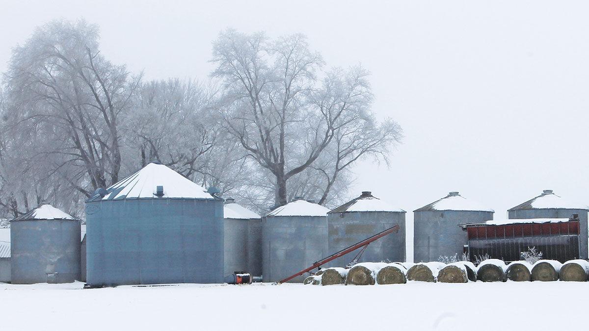 Winter grain bins