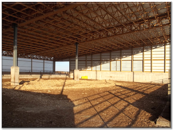Monoslope barns can provide sunlight and some warmth in the winter.