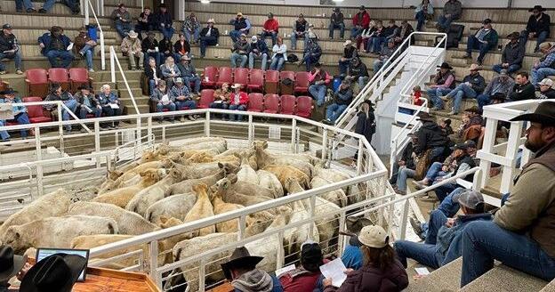 Montana ranchers: Foreign workers needed due to labor shortages